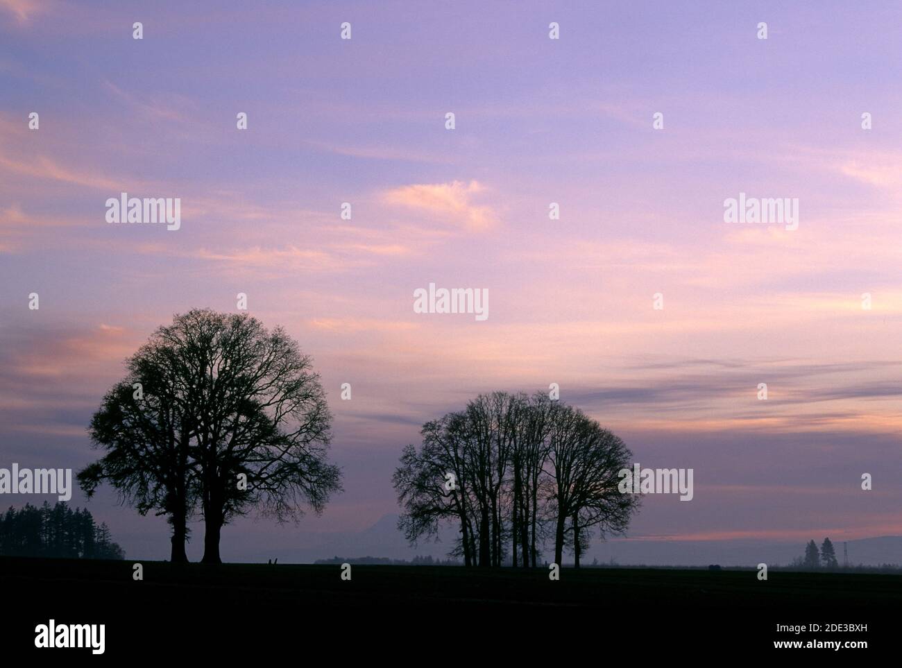 Oak Grove Dawn, Marion County, Oregon Foto Stock