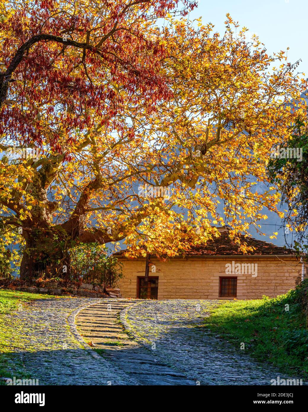 Tradizionale edificio in pietra con montagna astraka come sfondo durante la stagione autunnale nel pittoresco villaggio di Aristi in Zagori Grecia. Foto Stock