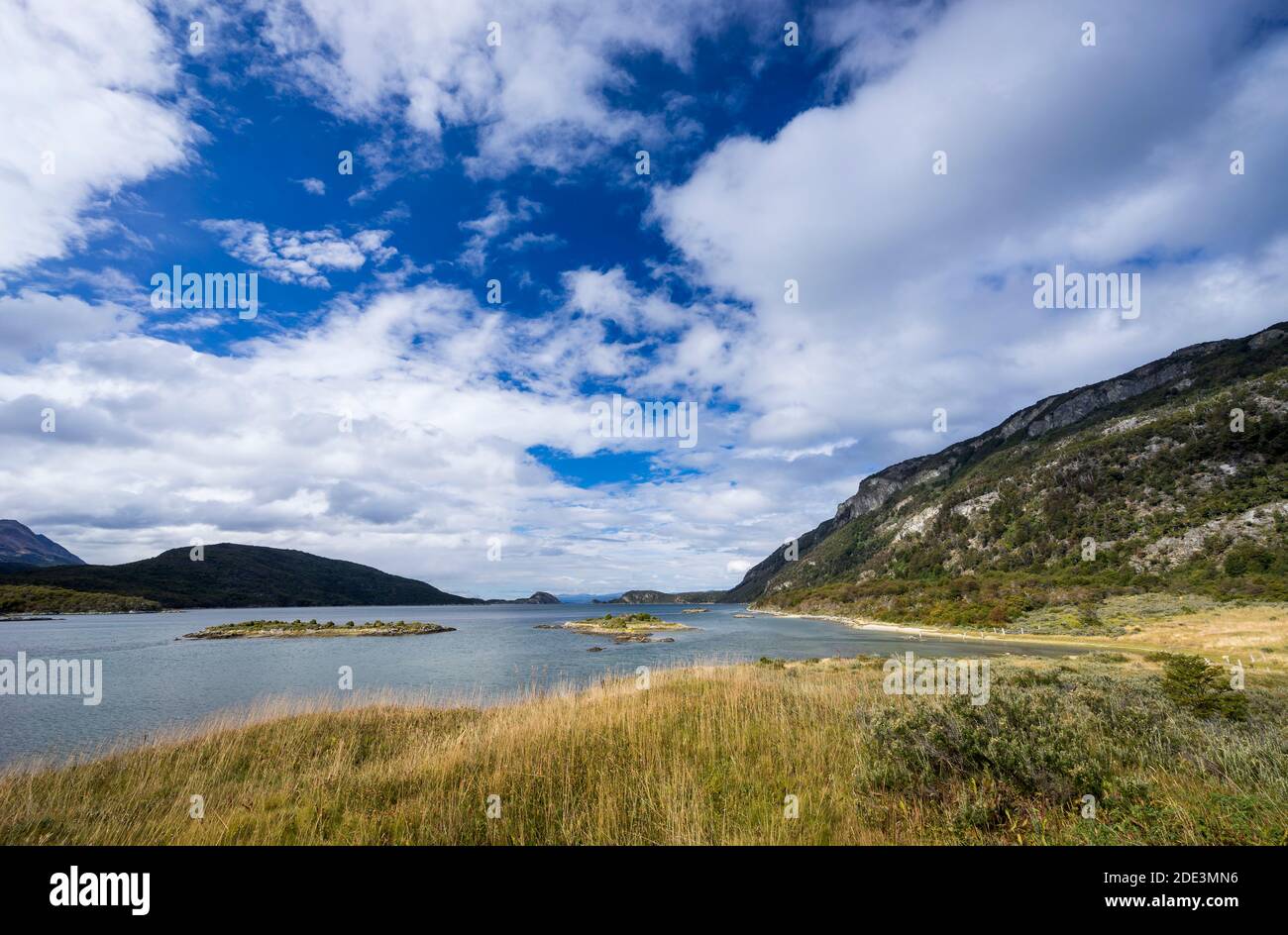 Idilliaco scatto di Lapataia Bay, Parco Nazionale Tierra del Fuego, Ushuaia, Patagonia, Argentina Foto Stock