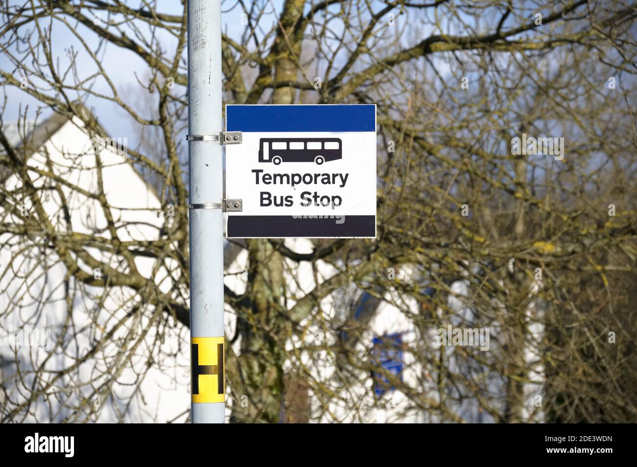 Fermata bus shelter paesaggio rurale uk trasporto pubblico la corsa libera titolare di pensione o di rendita senior persona pendolari Foto Stock