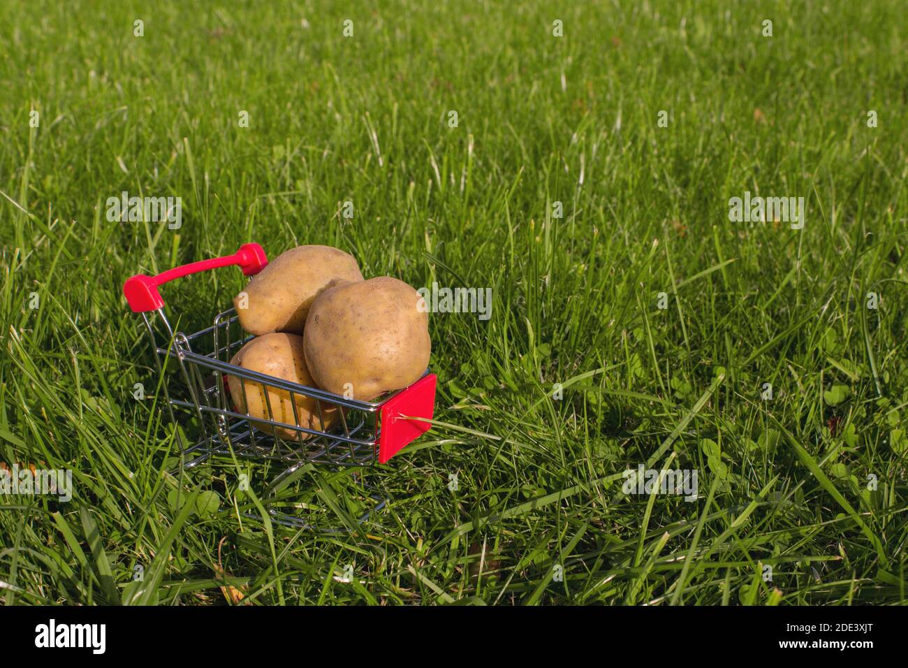 Mini carrello o carrello con patate su sfondo verde naturale con luce solare. Cibo sano per una dieta mediterranea equilibrata flexitarian c Foto Stock