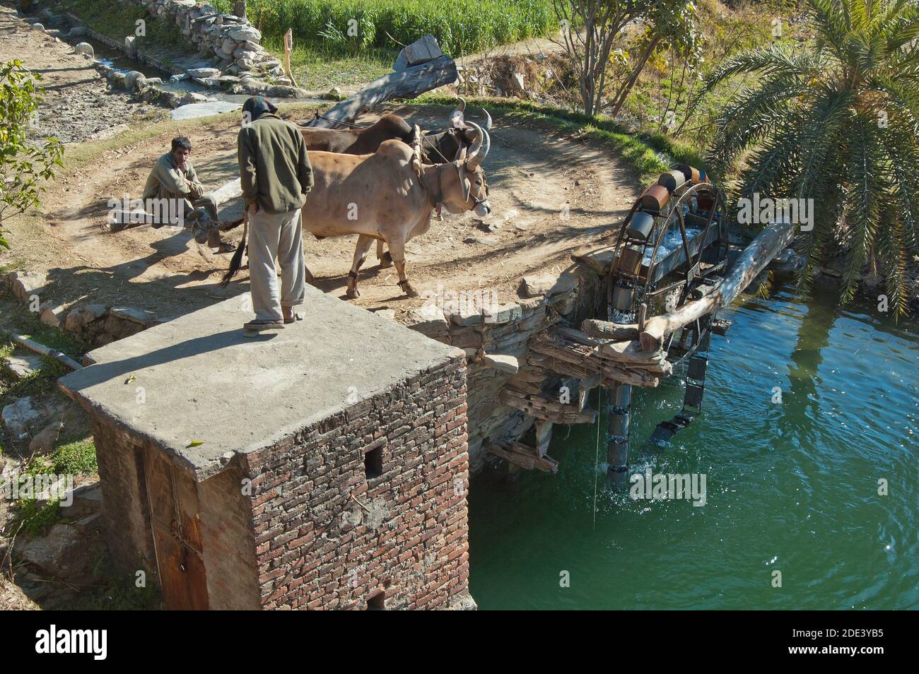Ruota d'acqua in un villaggio - India rurale Foto Stock