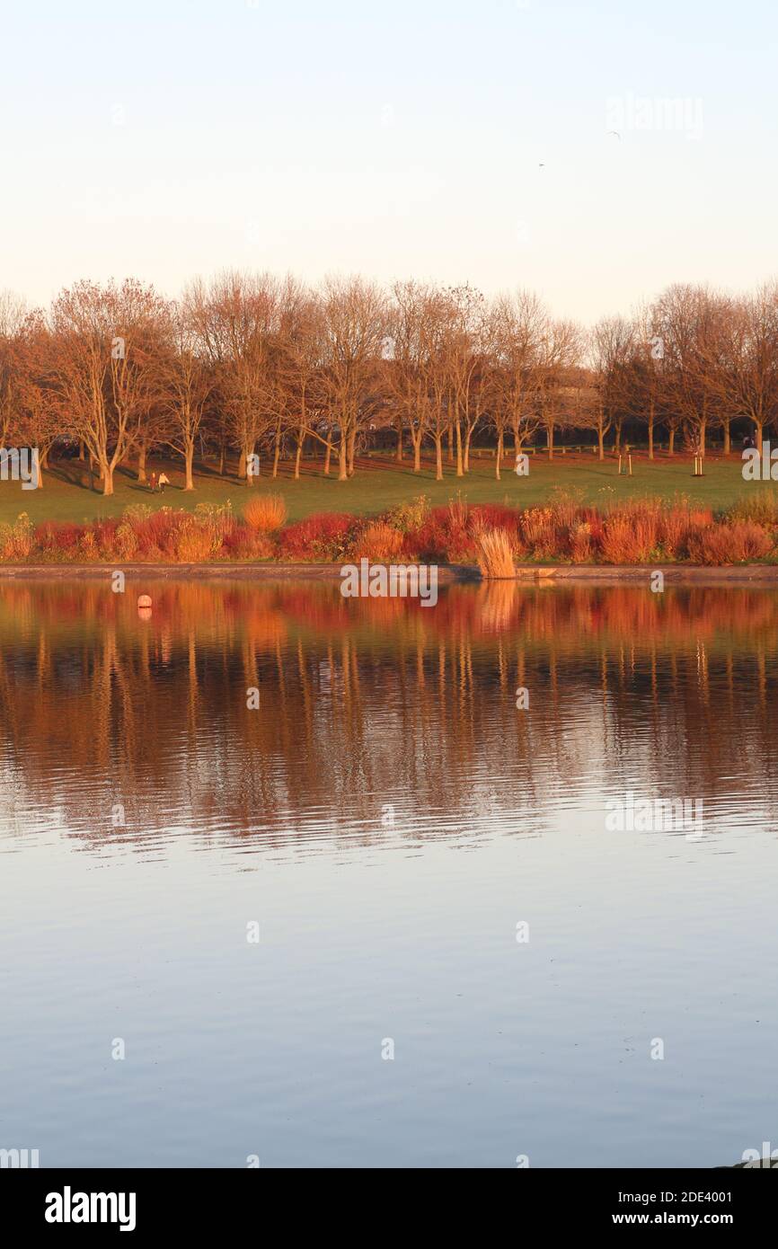 Vista di un lago in autunno, paesaggio suggestivo in un parco Foto Stock