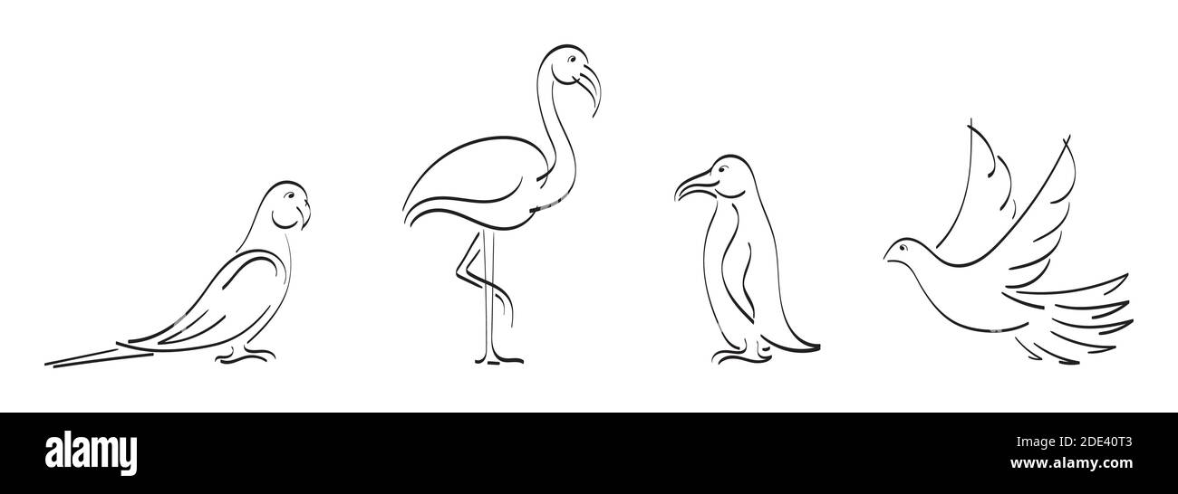 Contorno nero insieme di pappagallo, macaw, fenicottero, pinguino, piccione Illustrazione Vettoriale