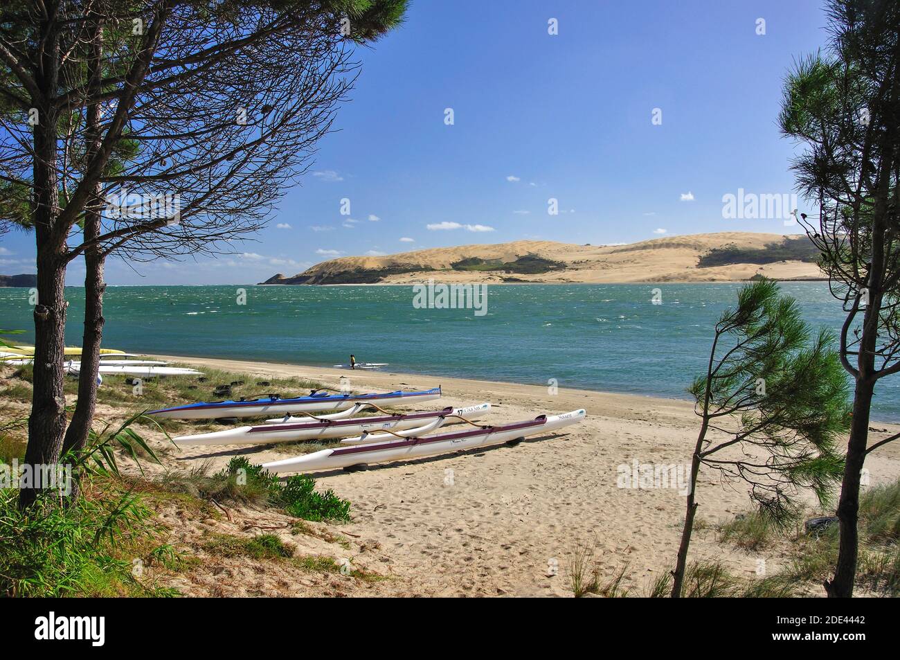 Vista della spiaggia, Opononi, regione di Northland, Isola del nord, Nuova Zelanda Foto Stock