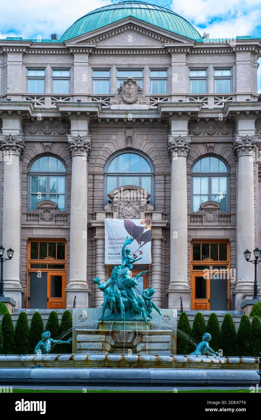 La biblioteca LuEsther T. Mertz. Giardino botanico di New York. Fondata nel 1899, la biblioteca Mertz si è evoluta diventando una delle più grandi, più comprensibili Foto Stock