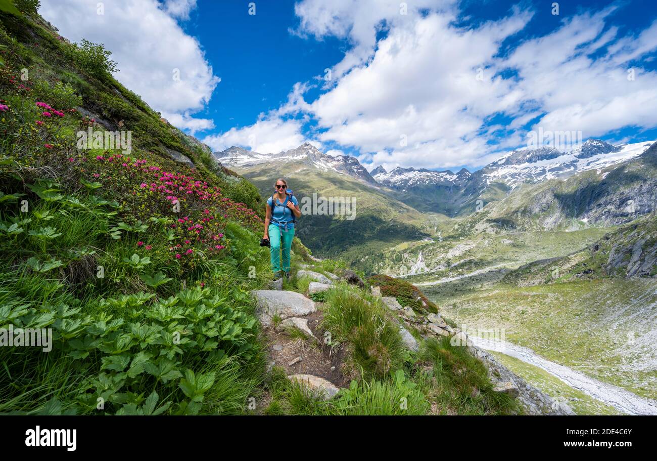 Escursionista sulla discesa dal Corno di Schoenbichler al Berliner Huette, paesaggio morenico, a sinistra la vetta dell'Ochsner , a destra Foto Stock