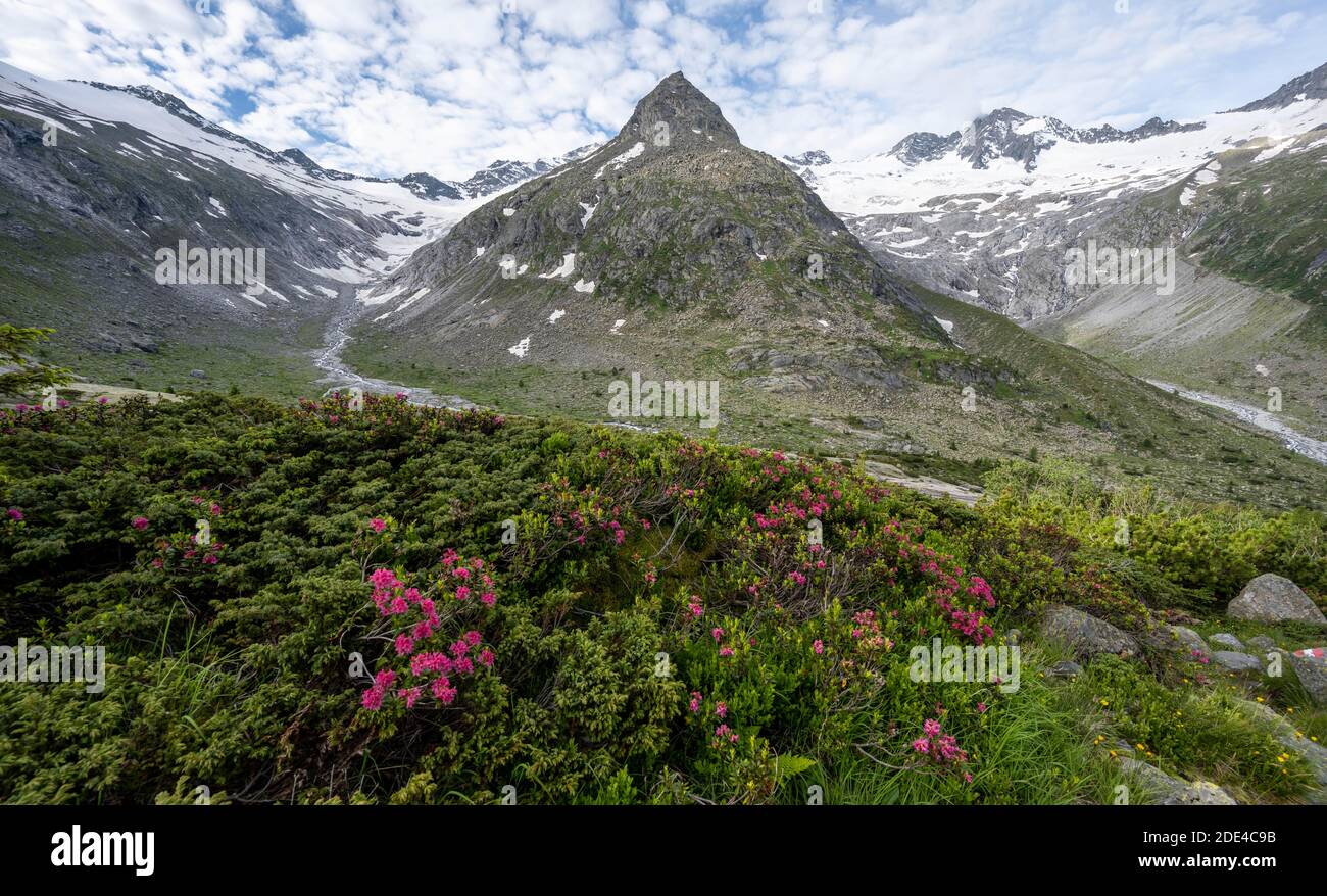 Montagne sul Berliner Hoehenweg, Steinmandl vetta al centro, Grosser Moeseler sulla destra, Hornkees e ghiacciai Waxeggkees Foto Stock