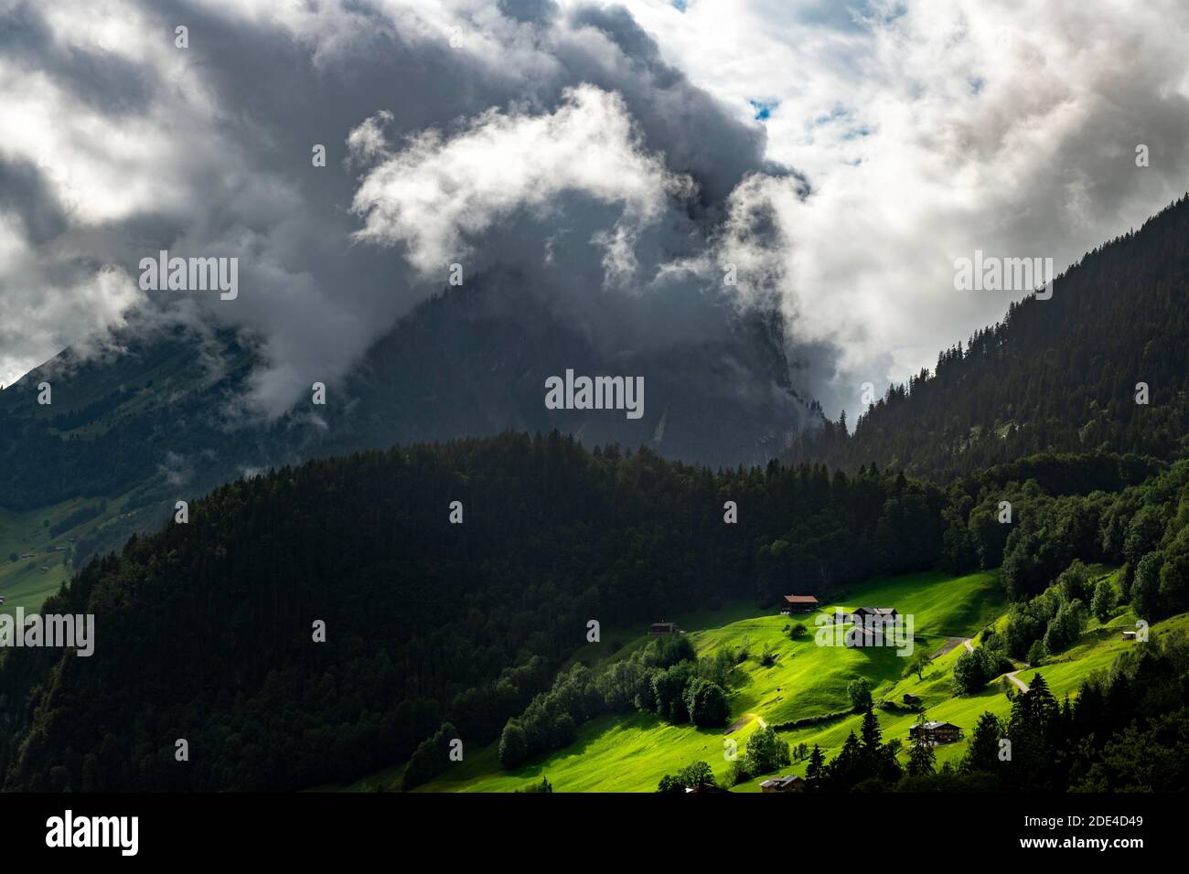 Rifugi in posizione soleggiata sul prato di montagna con foresta di montagna alle spalle, Schoppernau, Bregenzerwald, Vorarlberg, Austria Foto Stock