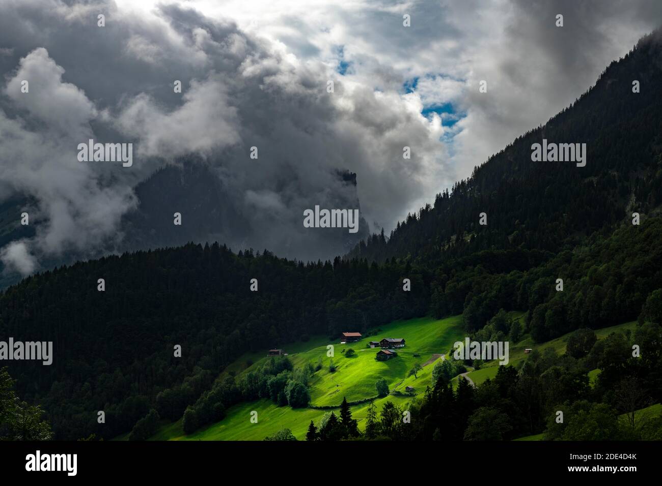 Rifugi in posizione soleggiata sul prato di montagna con foresta di montagna alle spalle, Schoppernau, Bregenzerwald, Vorarlberg, Austria Foto Stock
