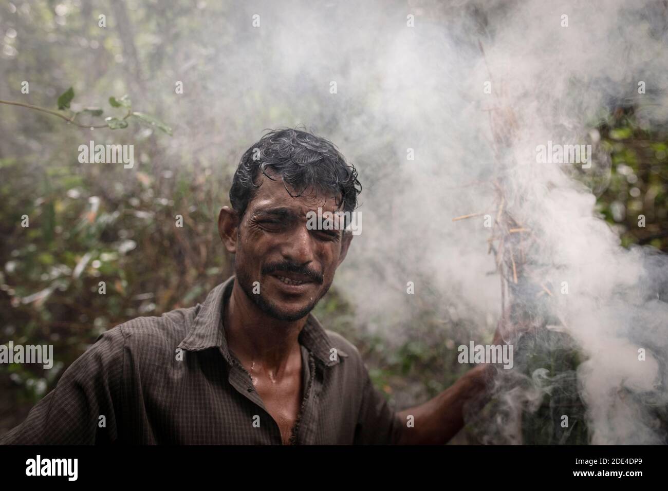 Collezionisti di miele poco dopo l'illuminazione di perenni umidi e foglie con acceleratore di fuoco, Mongla, Sundarbans, Bangladesh Foto Stock