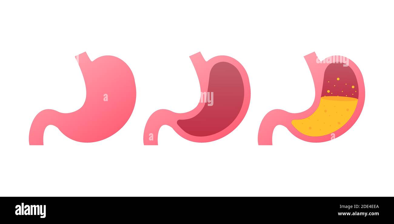 Icona dello stomaco. Simbolo degli organi interni umani. Illustrazione di stock vettoriale. Illustrazione Vettoriale