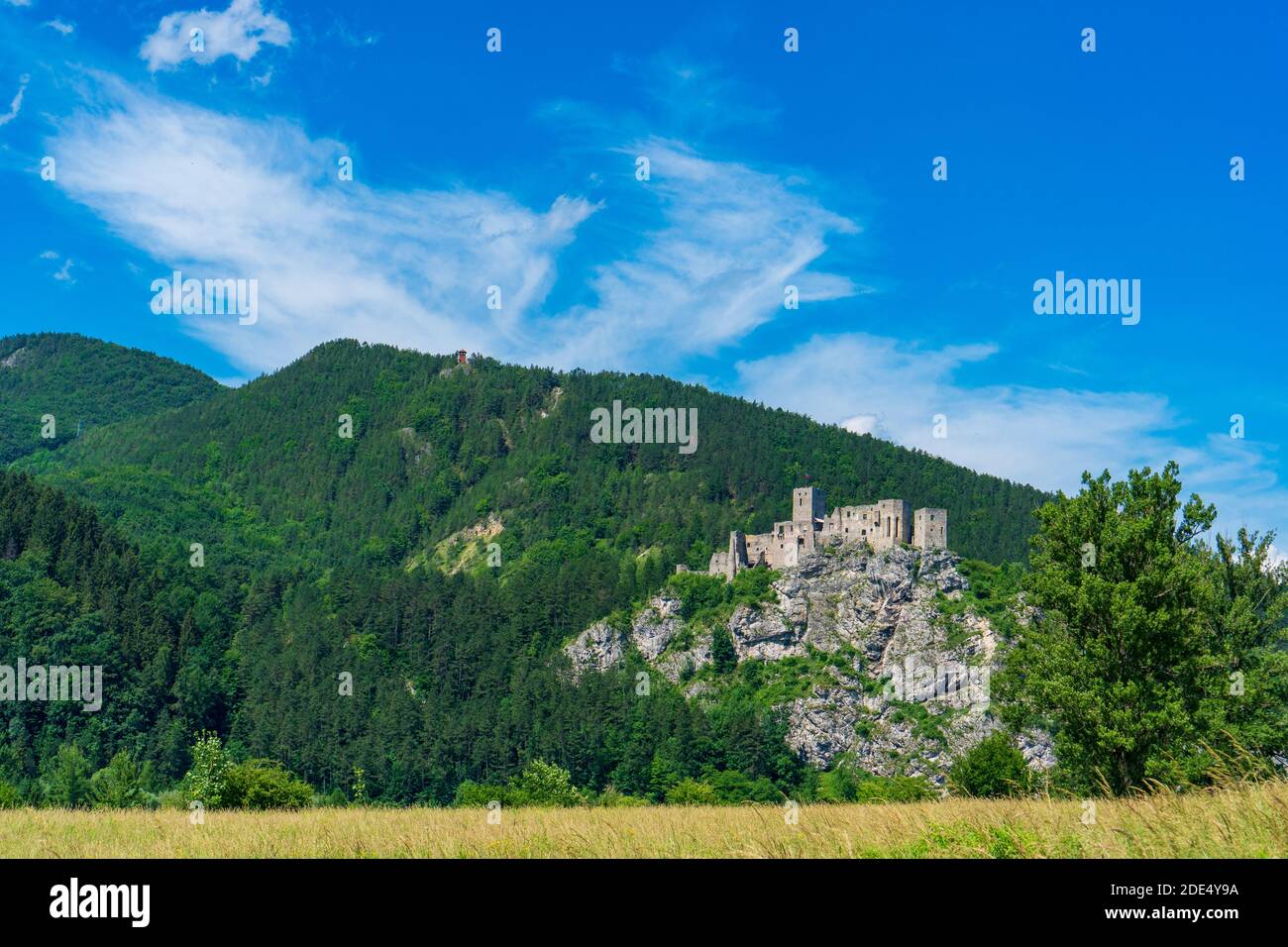 castello di strecno nel paesaggio montano estivo in slovacchia Foto Stock