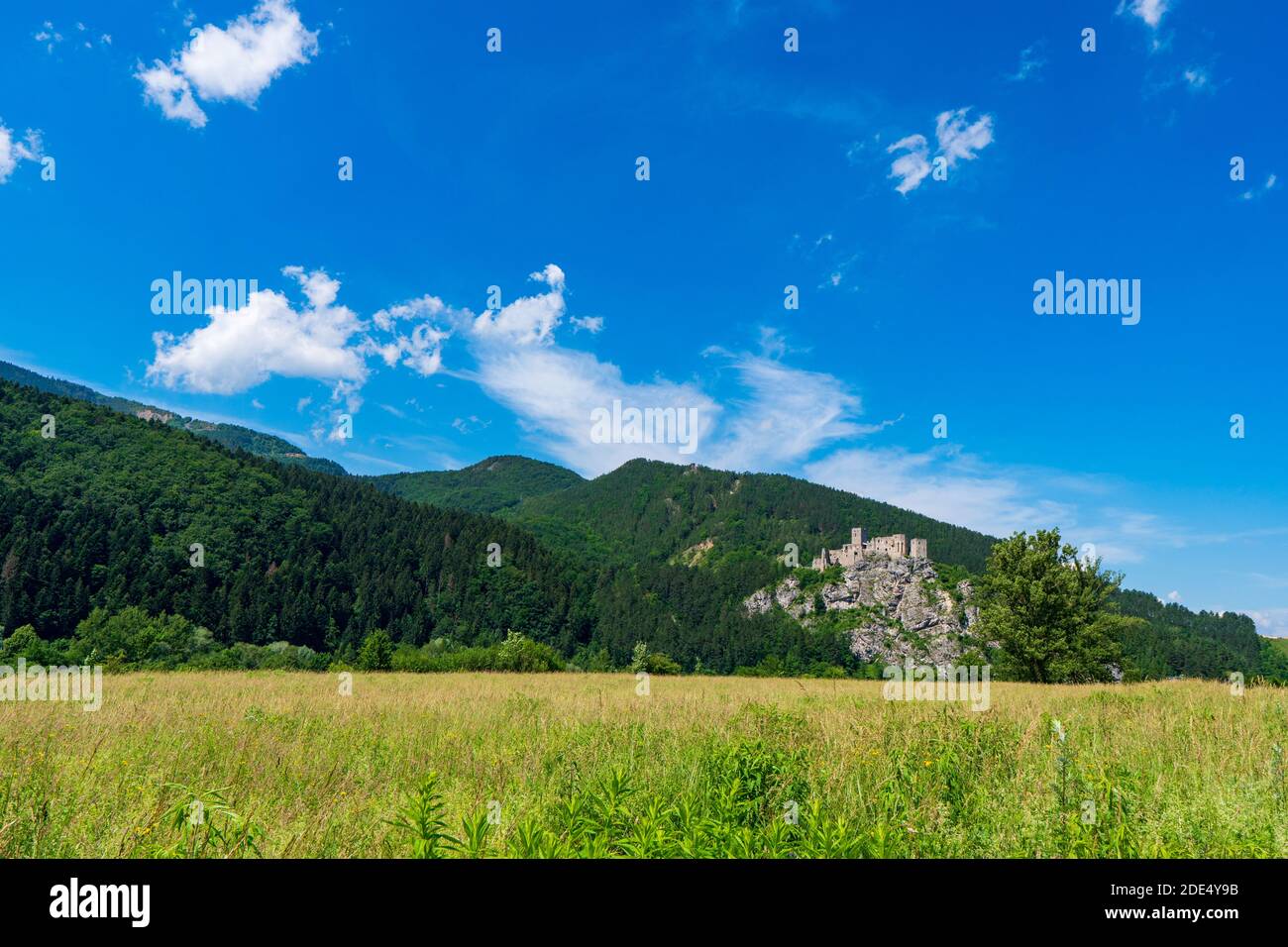 castello di strecno nel paesaggio montano estivo in slovacchia Foto Stock