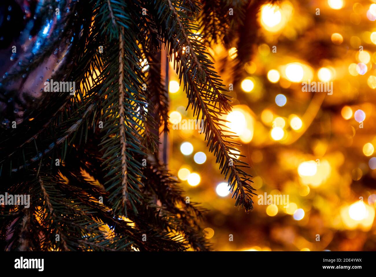 Astratto sfondo giallo bokeh luci e rami di un albero in inverno, sfondo di Natale, accogliente e sentimenti caldi Foto Stock