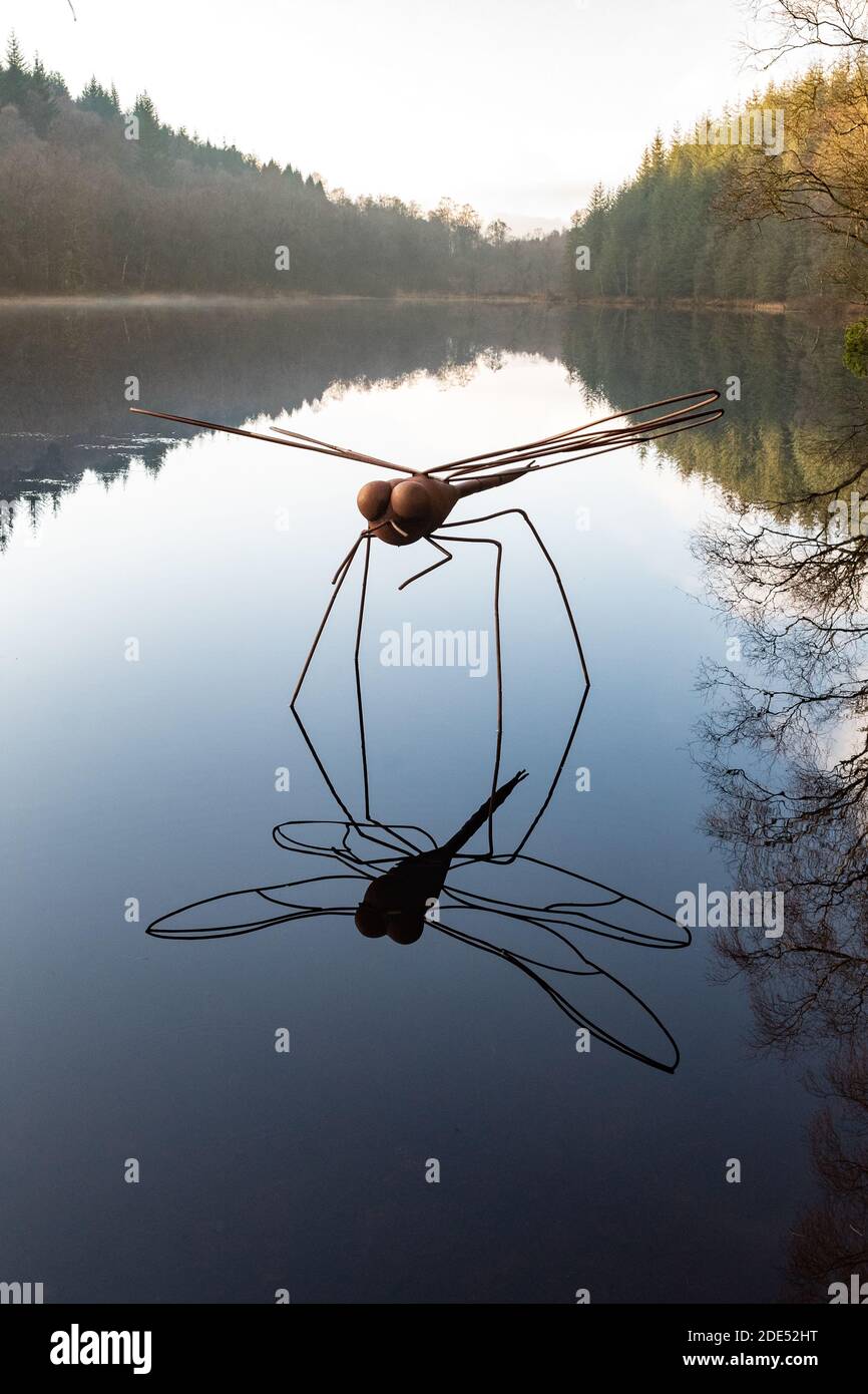 La scultura di Dragonfly di Rob Mulholland su Lochan Spling, parte del Loch Ard Family Sculpture Trail, Aberfoyle, Scozia Regno Unito Foto Stock