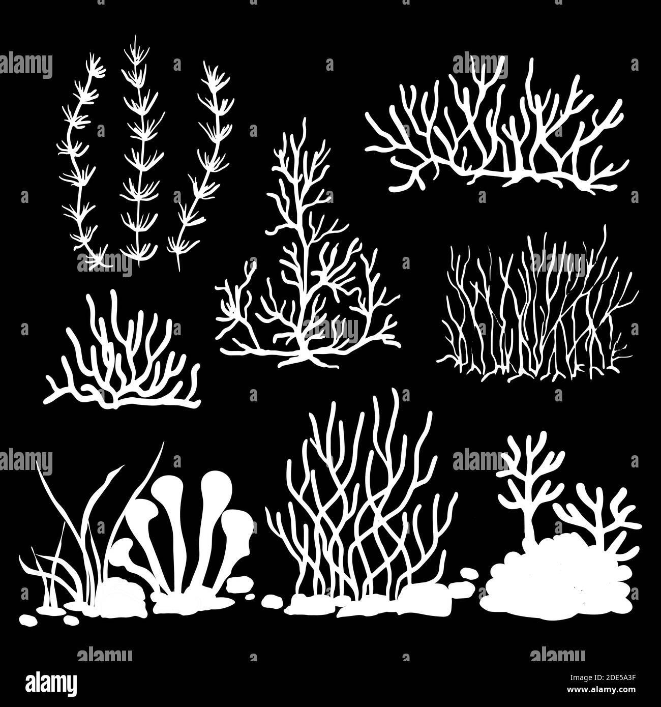 un insieme di sagome vettoriali di alghe e coralli isolati su sfondo nero Illustrazione Vettoriale
