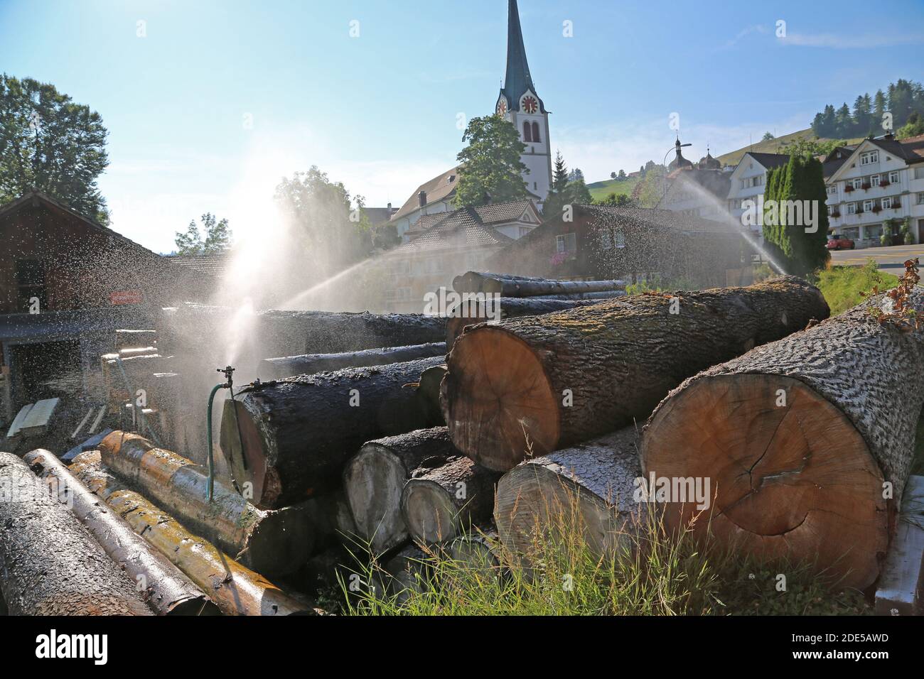 Stoccaggio del legno irrigato in Svizzera Foto Stock