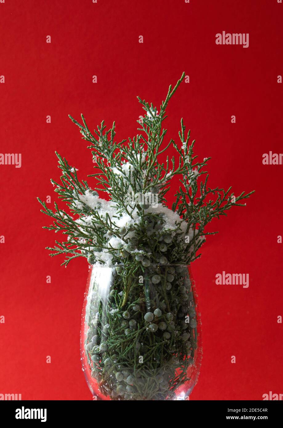 vetro riempito con albero di natale e neve Foto Stock
