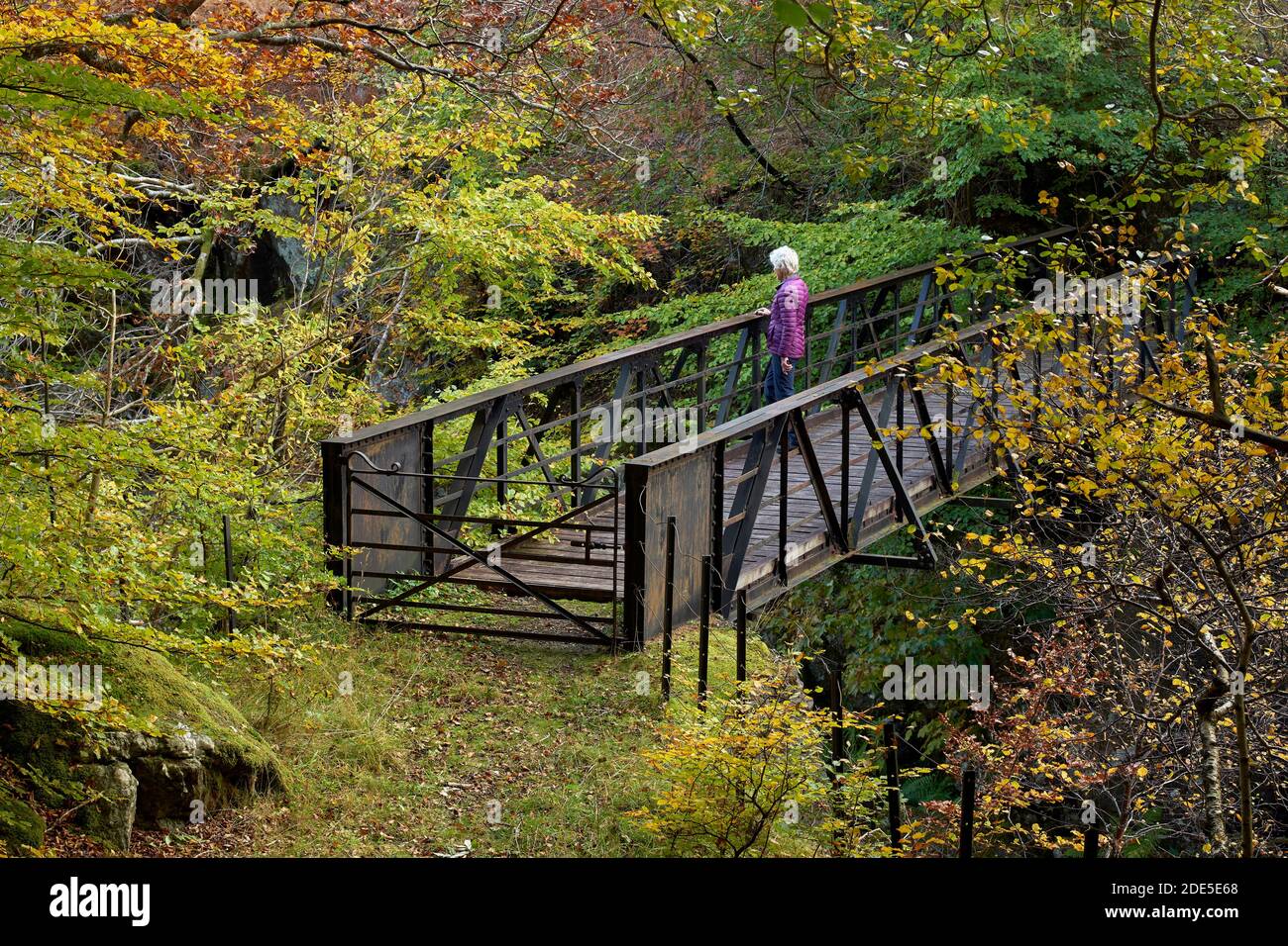 Camminatore femminile su un ponte pedonale a Glen Lyon, Perth e Kinross, Scozia. Autunno. Foto Stock