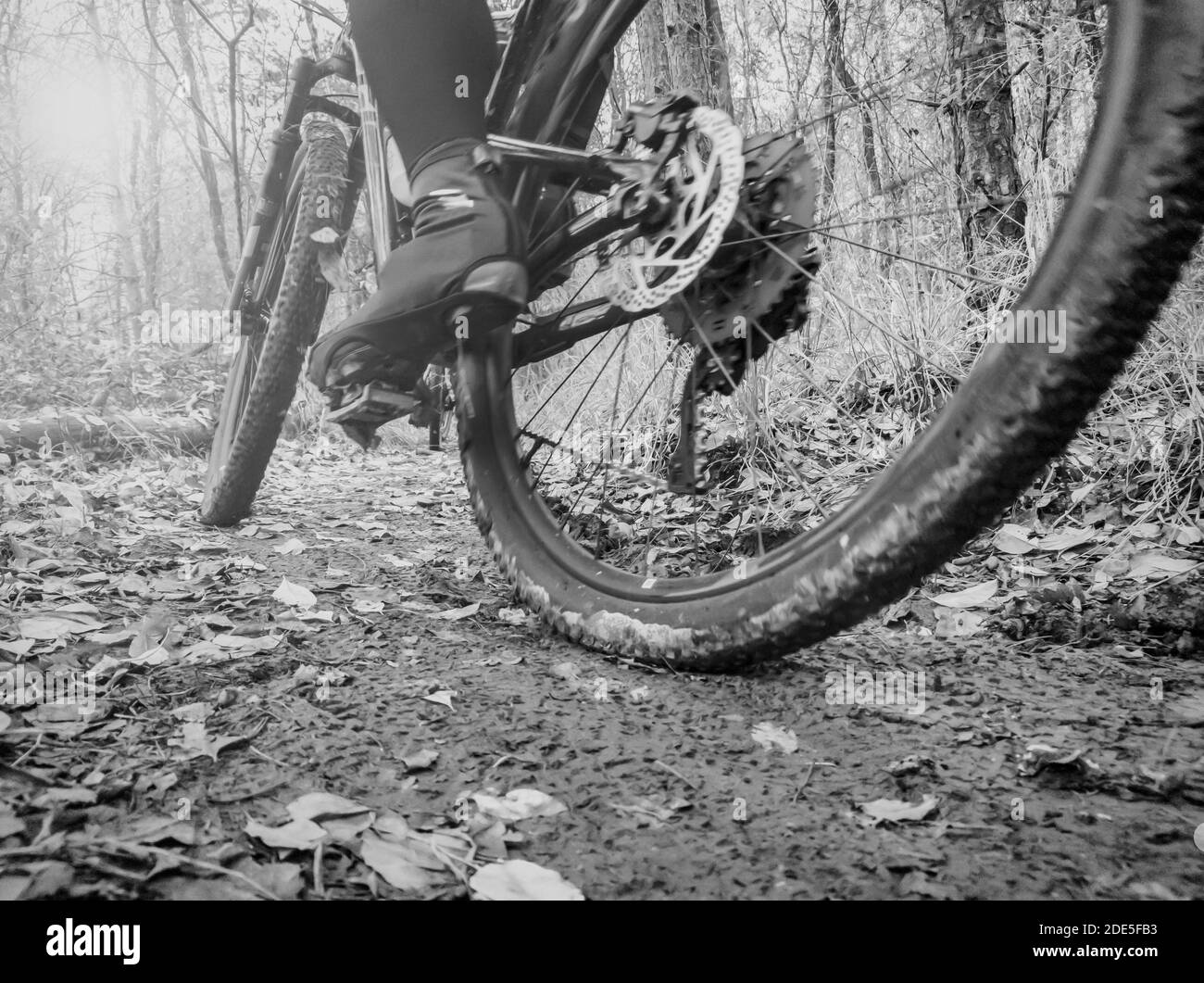 Piste di fango su una pista per mountain bike Foto Stock