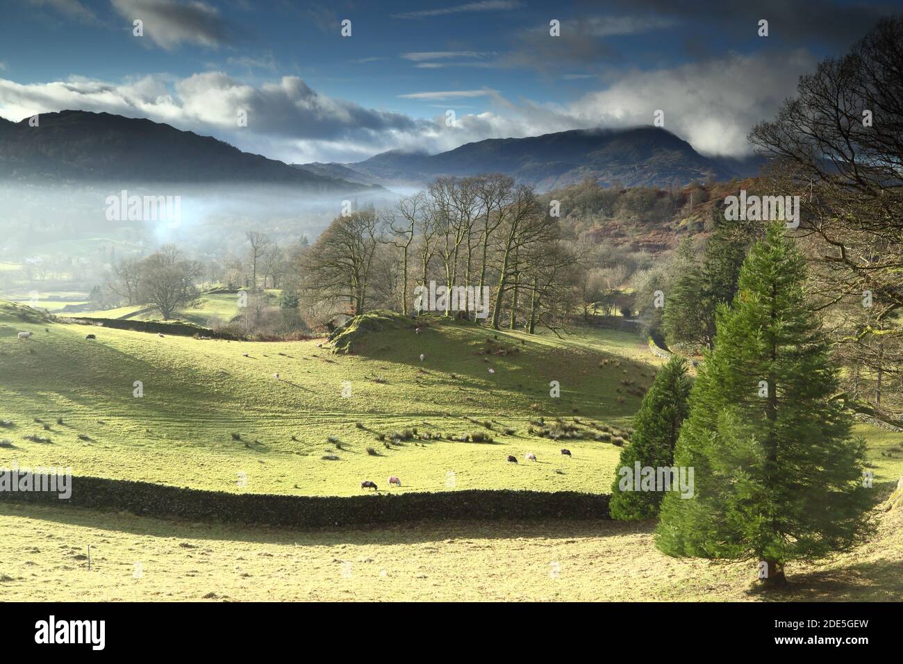 Vista sud-ovest attraverso Great Langdale da Loughrigg cadde a Wetherlam, English Lake District National Park, UK Foto Stock