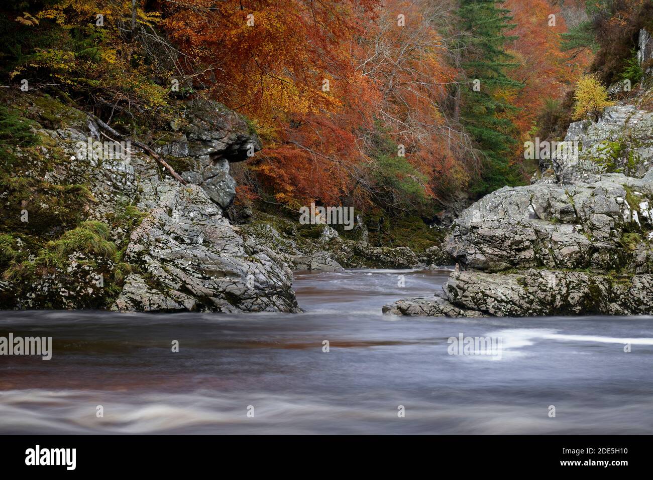 Il fiume Findhorn, a Randolph's Leap, vicino a Logie, Moray, Scozia. In autunno Foto Stock