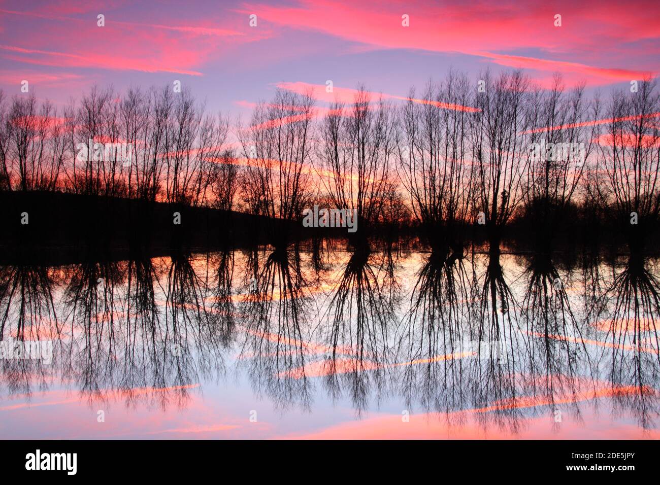 Prato d'acqua di Eynsham, Oxfordshire, Inghilterra, Regno Unito Foto Stock