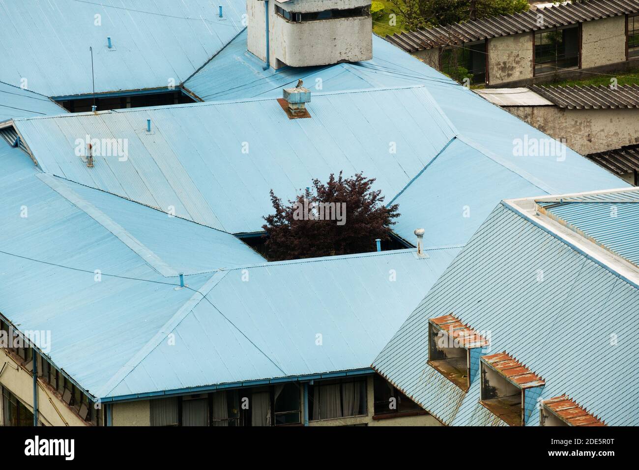 Un albero cresce attraverso un gioco nel blu Tetto di ferro ondulato del base Hospital di Puerto Montt Cile Foto Stock