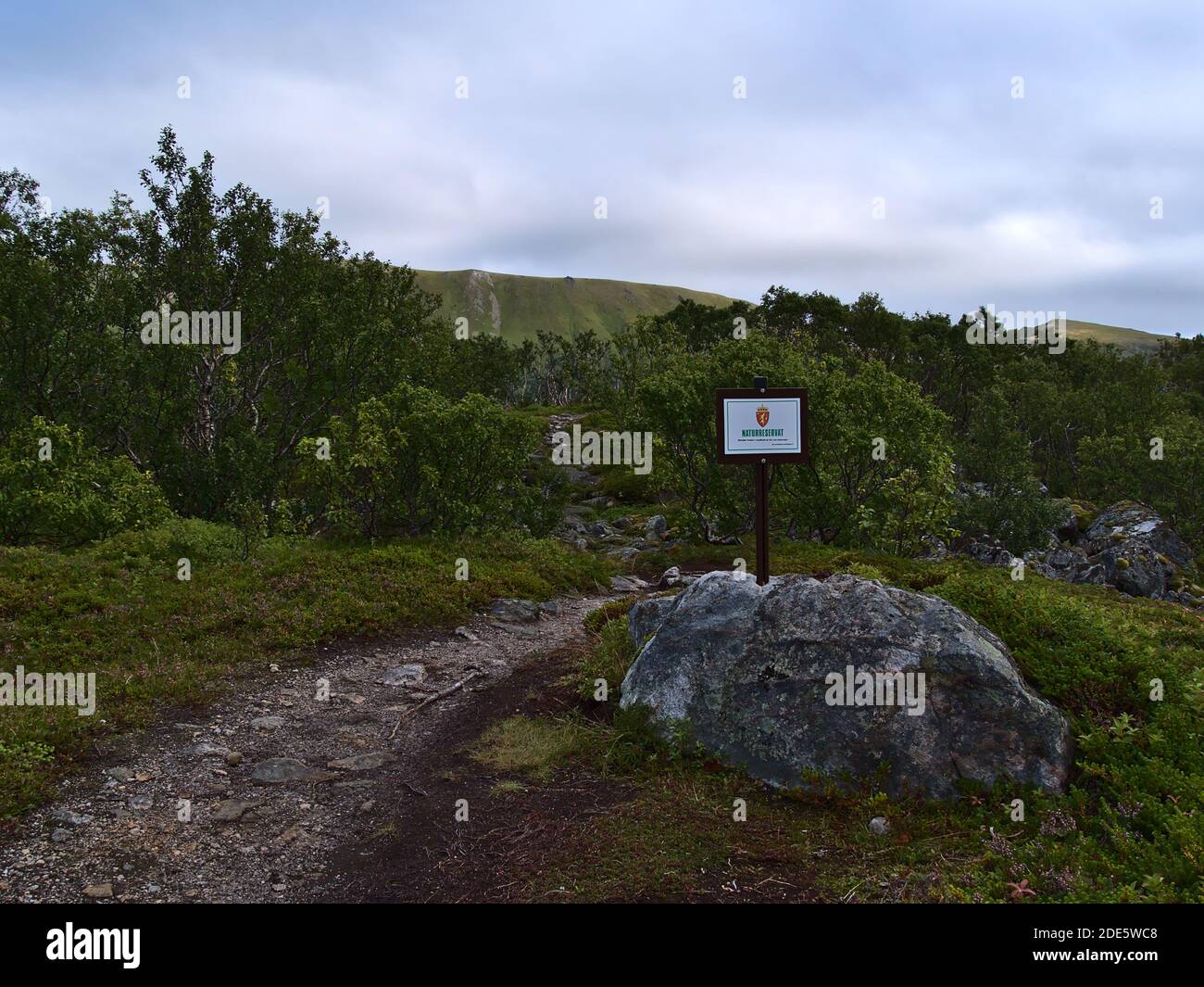 Bleik, Andøya, Vesterålen, Norvegia - 08-25-2020: Sentiero escursionistico che conduce attraverso la fitta vegetazione alla vetta di Måtinden con segno (riserva naturale). Foto Stock