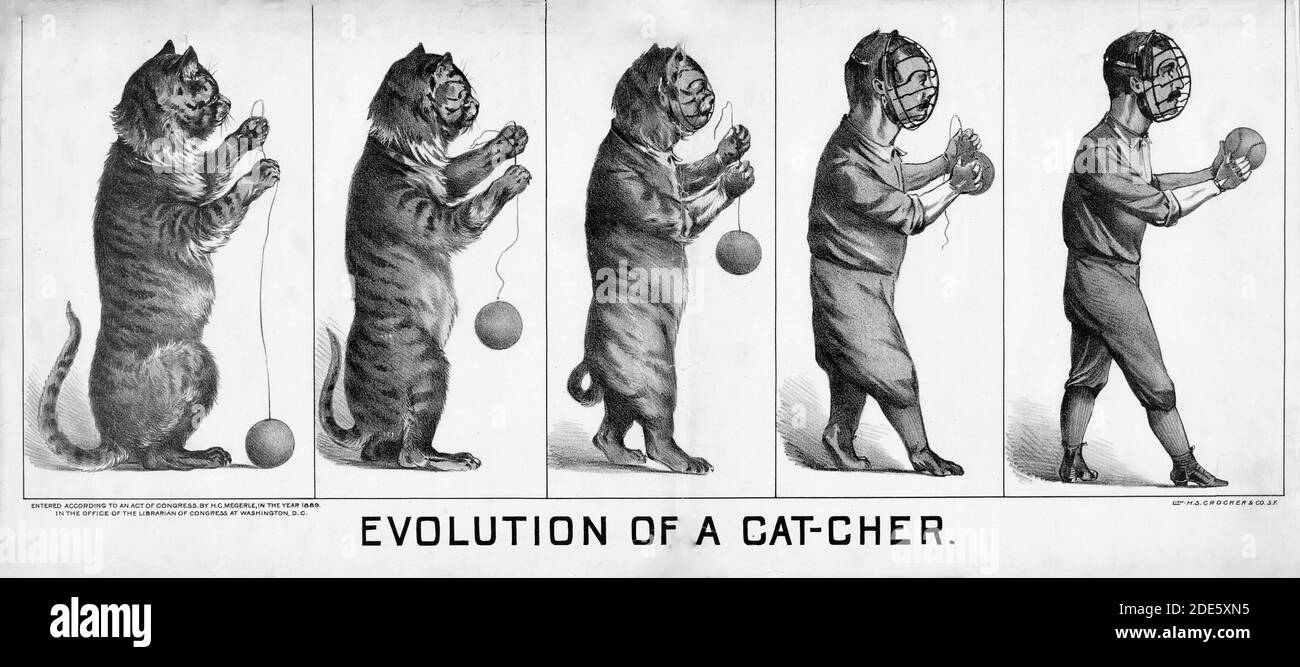 Stampa mostra un pannello di cinque illustrazione inizio sulla sinistra con un gatto, seduti sulle zampe posteriori, giocando con una palla di filato che si evolve in un baseball catcher in posizione eretta. Foto Stock