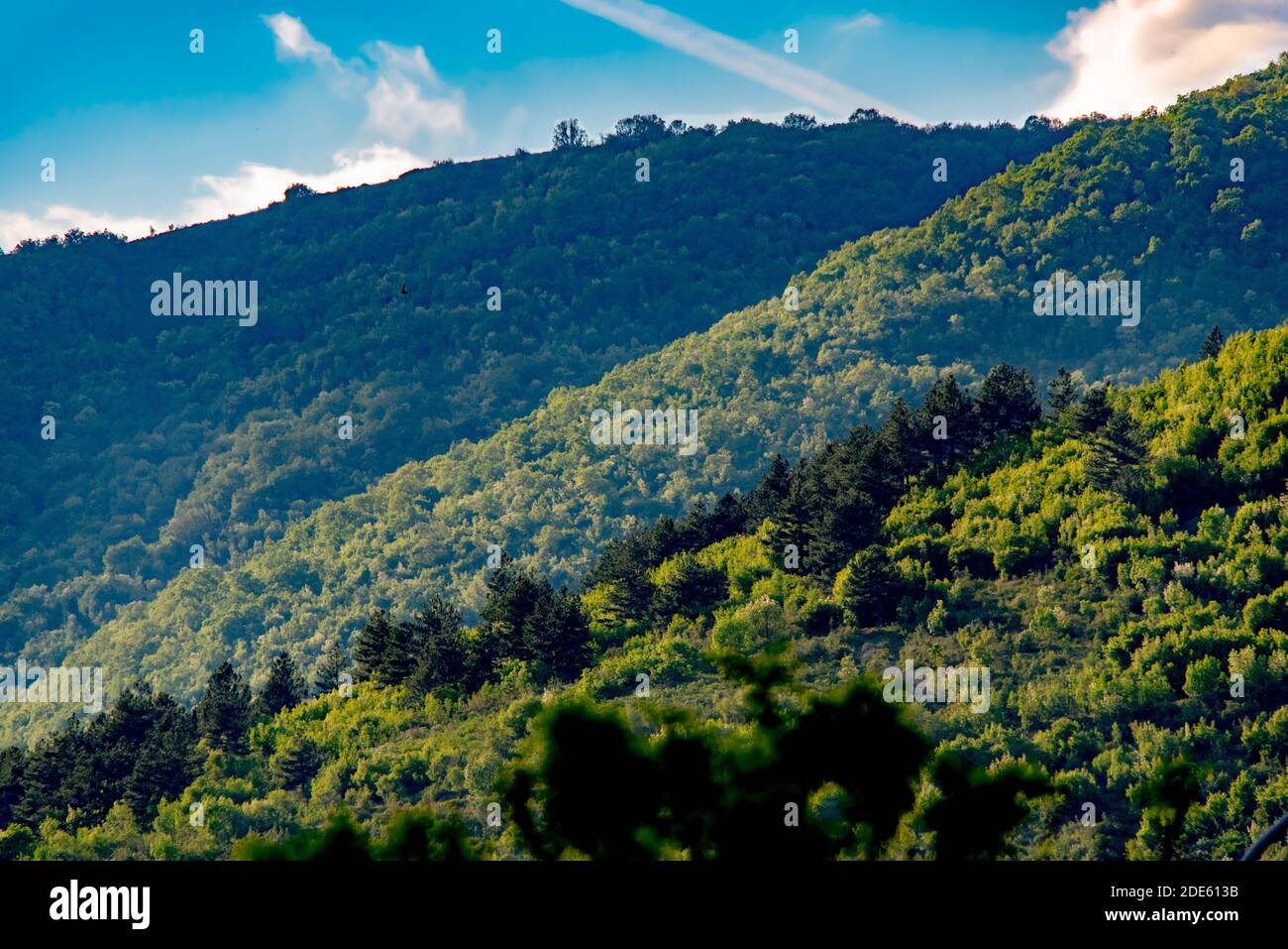 Colline di montagna a strati di verde lussureggiante vegetazione Foto Stock