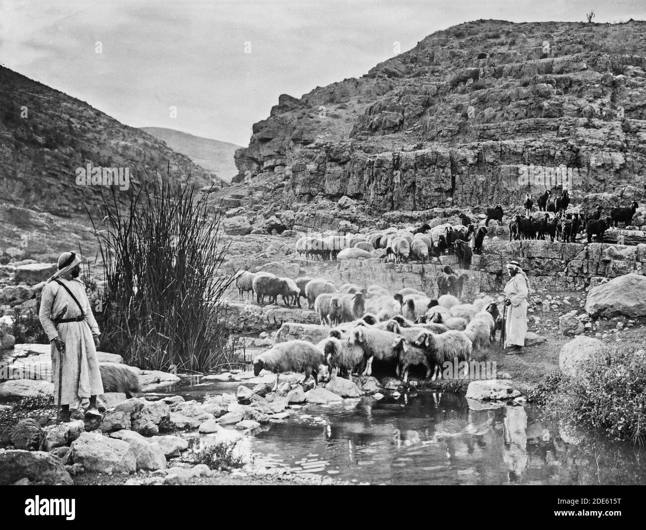 'Middle East History - insieme di tredici diapositive selezionate della vita pastorello che illustrano il ventitreesimo Salmo. ''mi conduce in sentieri di giustizia''' Foto Stock