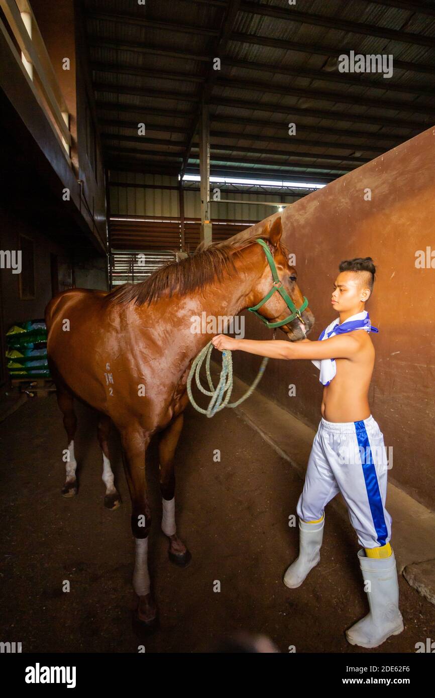 Un jockey con il suo cavallo da corsa all'ippodromo Metroturf di Tanauan, Batangas, Filippine Foto Stock