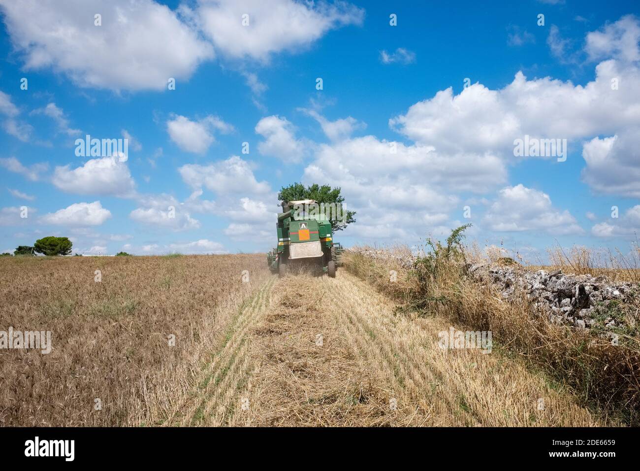 GIOIA DEL COLLE, ITALIA - 7 LUGLIO 2018: Old ARBOS combina la raccolta del grano duro in un campo situato sull'altopiano di Murgia in Puglia Foto Stock