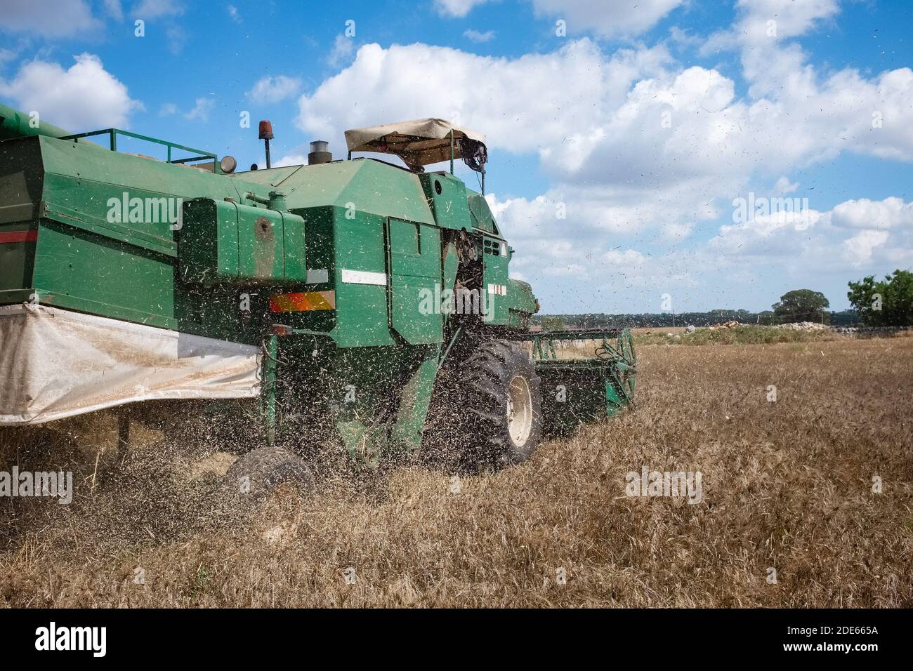 GIOIA DEL COLLE, ITALIA - 7 LUGLIO 2018: Raccolta di grano duro in un campo situato sull'altopiano di Murgia in Puglia Foto Stock