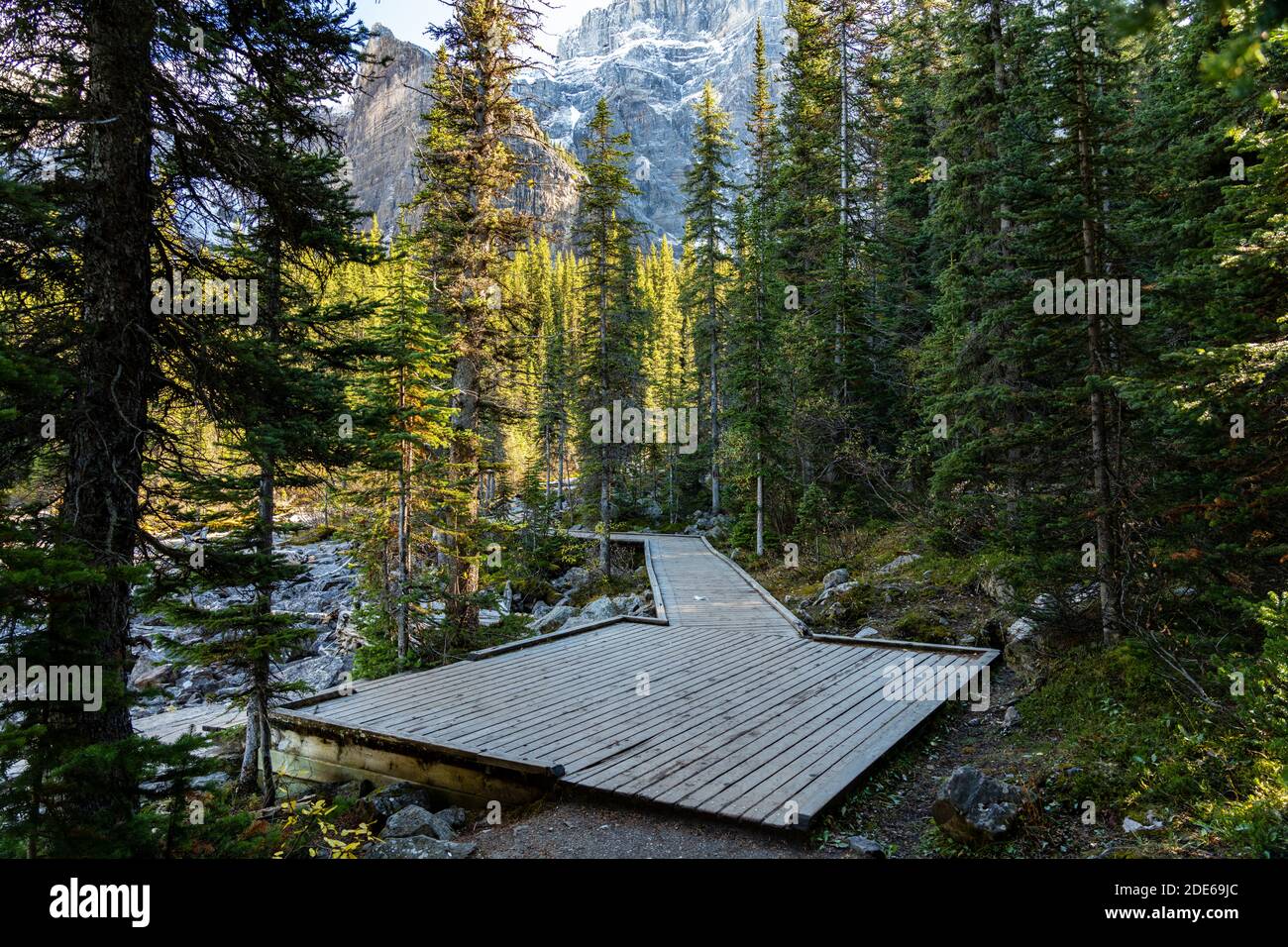 Sentiero escursionistico sul lungolago nella foresta in una giornata di sole. Moraine Lake Lakeside, Banff National Park, Canadian Rockies, Alberta, Canada. Foto Stock