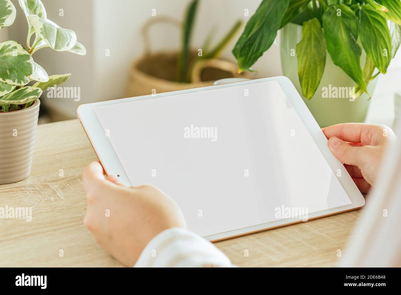 Tablet bianco schermo mockup tenuto da una mano di una donna che si trova nel soggiorno Foto Stock