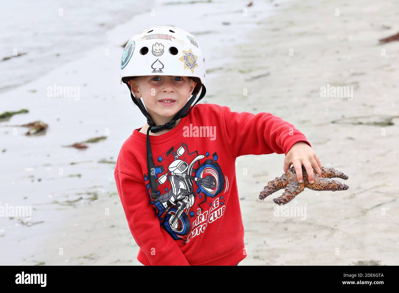 I bambini tengono in mano una stella marina che hanno trovato. Foto Stock