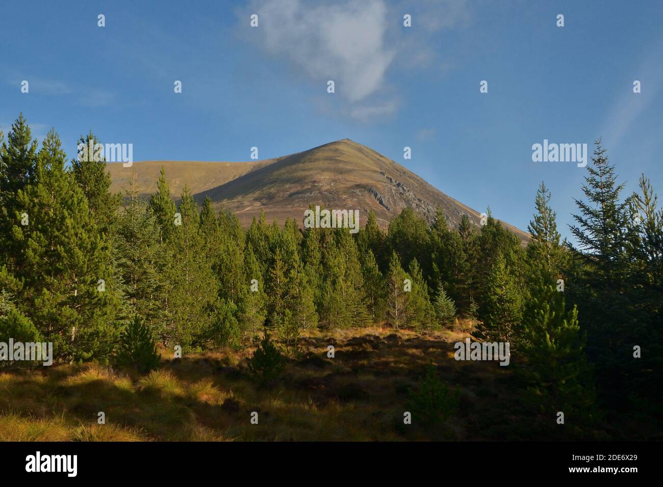 Un Cabar, una delle cime della catena del ben Wyvis, nelle Highlands scozzesi Foto Stock