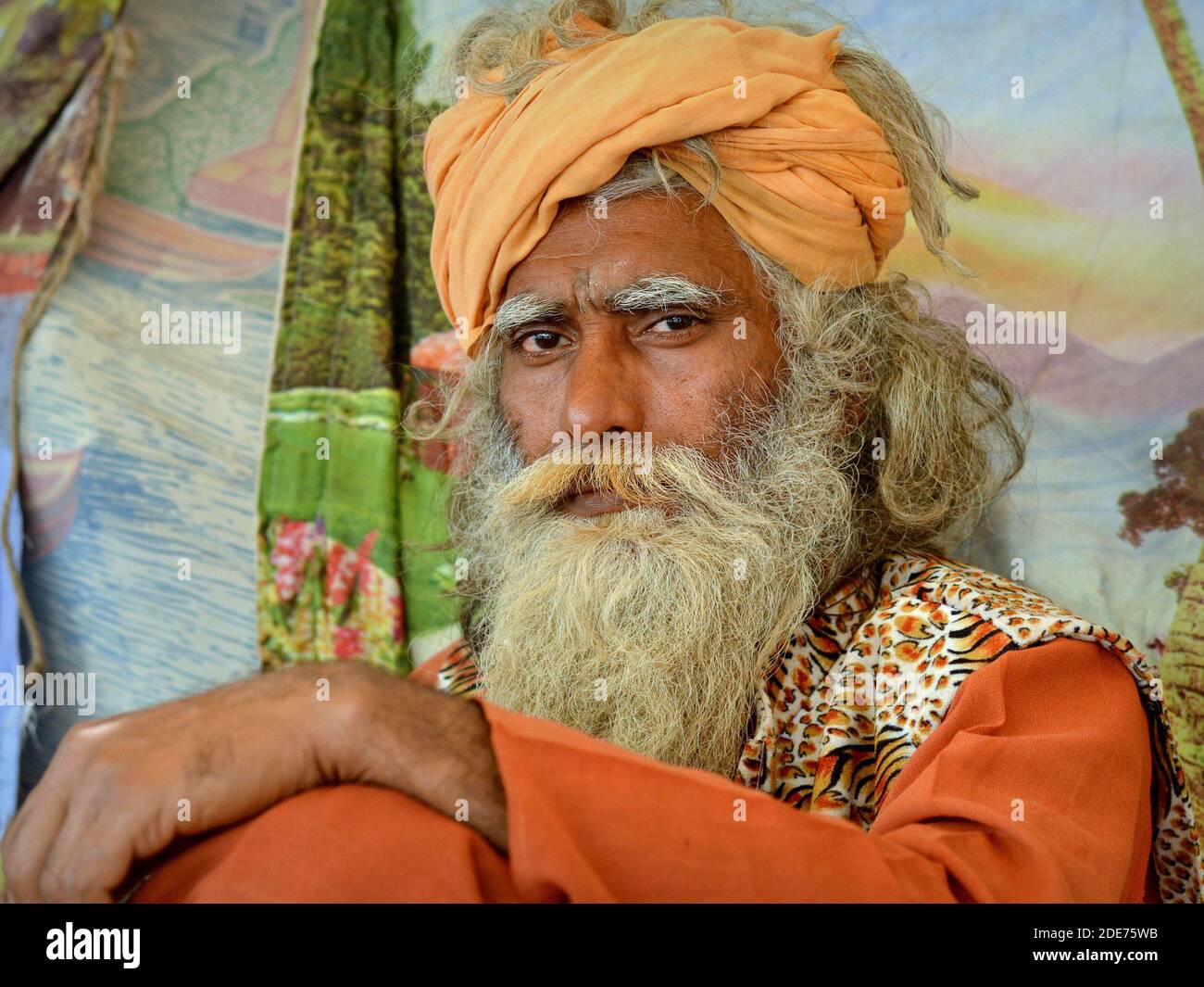 Durante la Shivratri Mela (fiera di Bhavnath), il sadhu indiano di mezza età con i capelli grigi e la barba spessa si pone per la fotocamera. Foto Stock