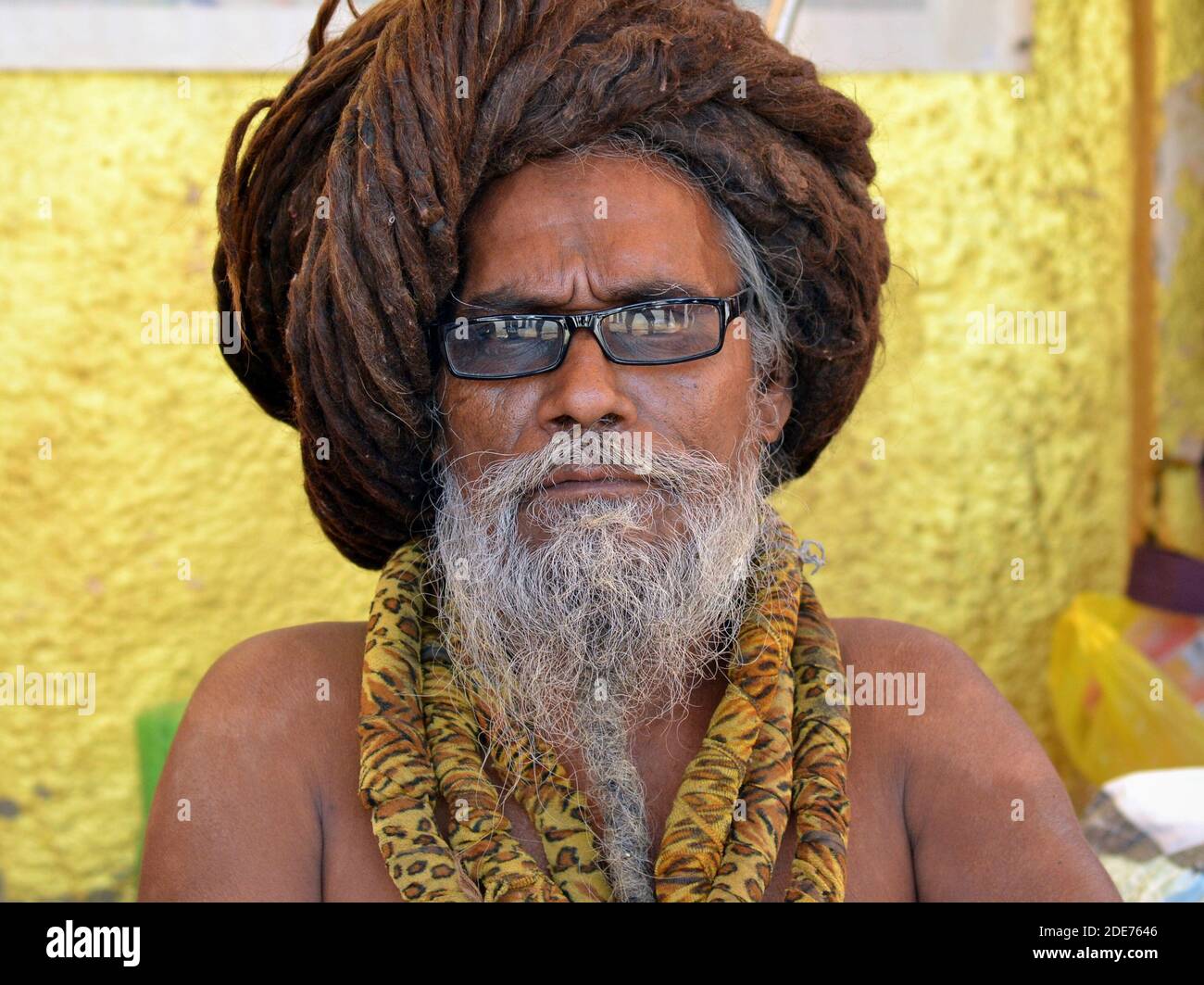 Anziano indù santo uomo indiano (sadhu, baba, guru) con lunghi dreadlock e occhiali di plastica pone per la macchina fotografica durante il festival Shivratri Mela. Foto Stock
