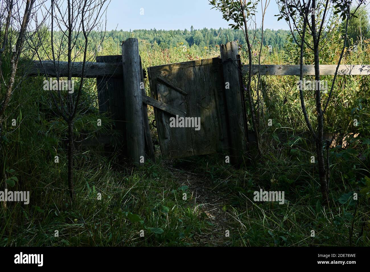 rickety wicket cancello in una recinzione abbandonato villaggio di legno Foto Stock