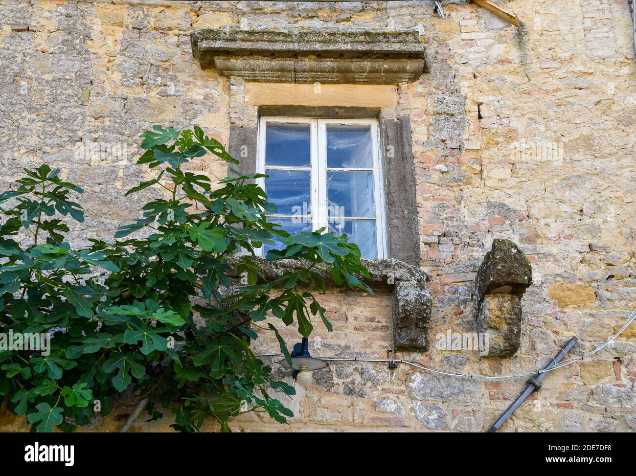 Dettagli della façade facciata di una vecchia casa abbandonata con una finestra su un muro di pietra e mattoni e rami di fico, Volterra, Pisa, Toscana, Italia Foto Stock