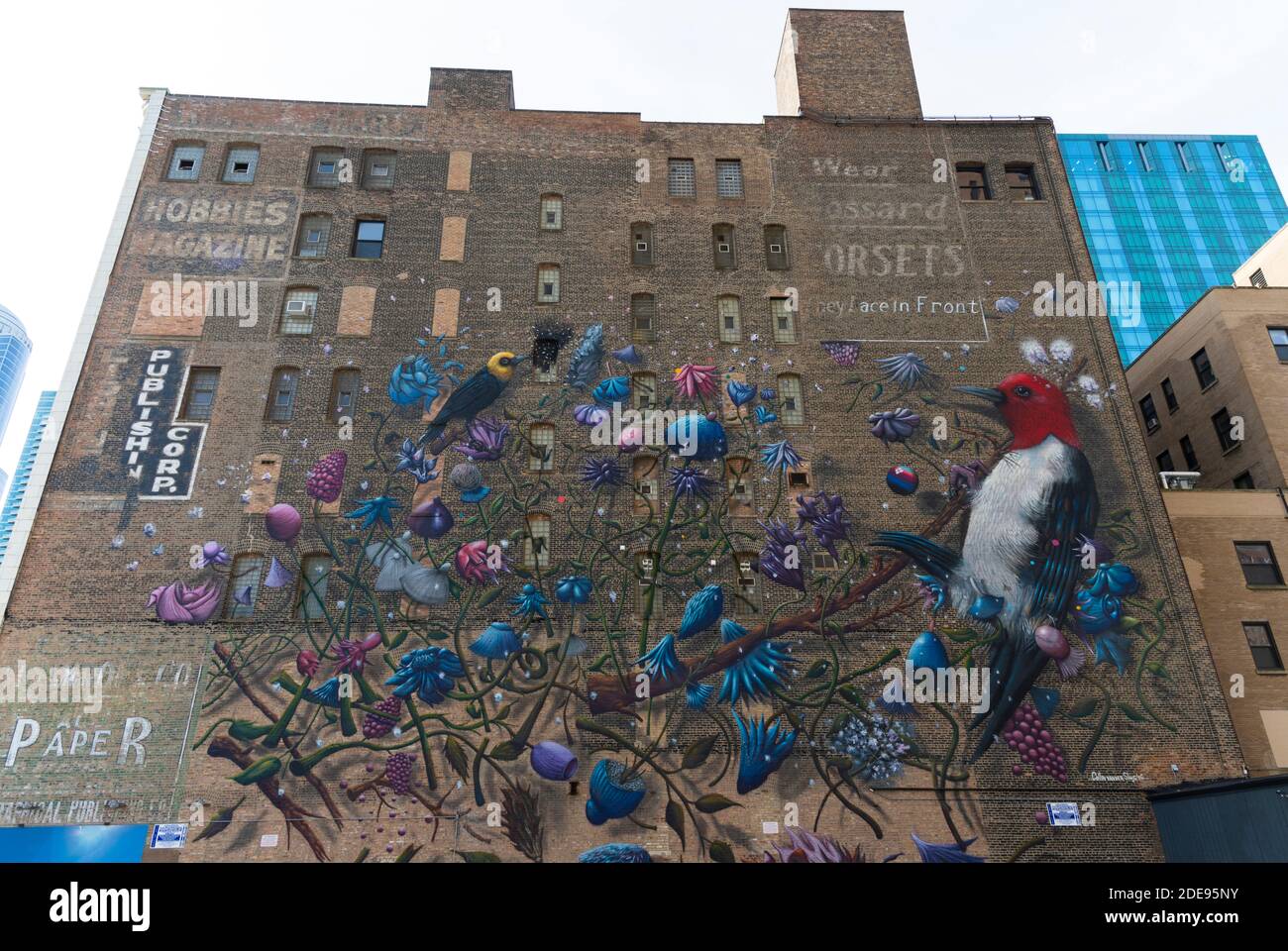 Murale di uccelli e fiori a Chicago fatto da Collin van Der Sluijs Foto Stock