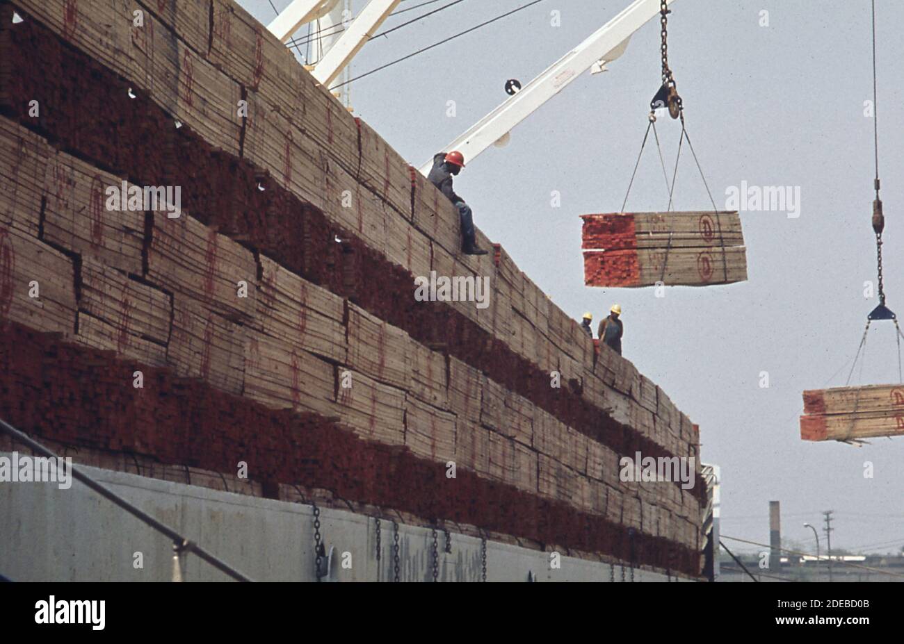 Il legname viene scaricato da una nave presso il terminal marino di Dundalk ca. 1973 Foto Stock