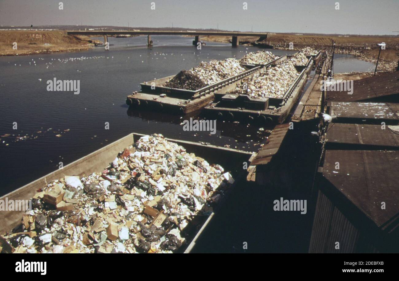 1970 Foto - (1973) - spazzatura scrofe da Manhattan attendere Da scaricare presso la discarica dell'isola di Staten Foto Stock