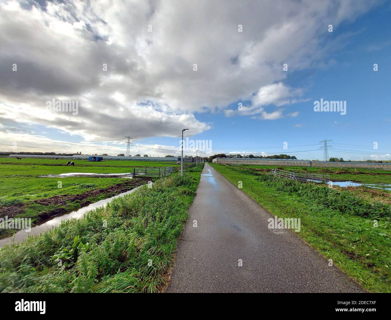 Prati verdi e campi con serre nel Groene Zoom Zona tra Nieuwerkerk e Capelle aan den IJssel Foto Stock