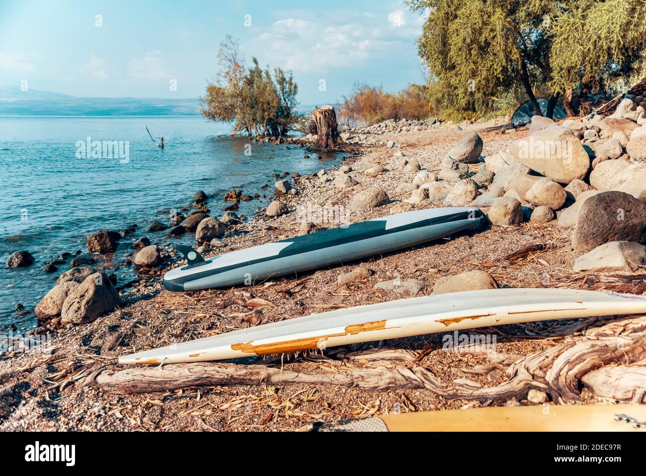 Sali sul paddleboarding, le tavole SUP che si trovano sulle rive del mare di Galilea sullo sfondo delle alture del Golan. Lago Tiberiade, Kinneret, Kinnereth. Foto di alta qualità Foto Stock