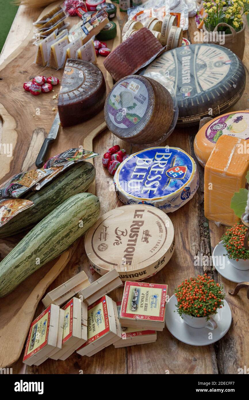Assortimento di formaggi prodotti caseari di capra, pecora e vacca Foto Stock